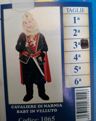 Vestiti carnevale