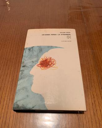 Un’anima persa-la straniera di giovanni arpino c e
