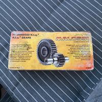 ingranaggi scooter malossi