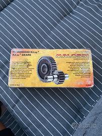 ingranaggi scooter malossi