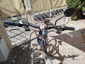 Bici adulto 