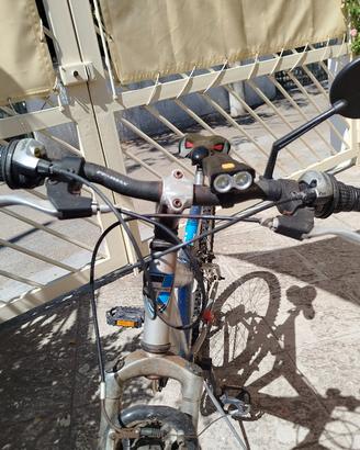 Bici adulto 