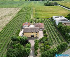 CARPI, PODERE 70.000MQ, CASA PADRONALE E RUSTICI