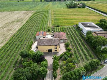 CARPI, PODERE 70.000MQ, CASA PADRONALE E RUSTICI