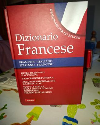 dizionario 