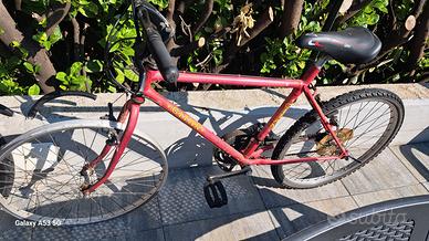 Bicicletta