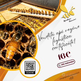 Api regine ligustica certificate