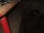 Immagine 8