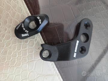 Forcellino scott gambler