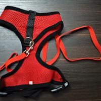 Pettorina per cane con guinzaglio