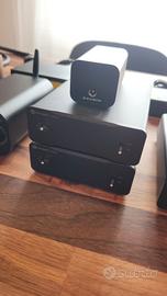 Fosi Audio V3 mono Sparkos ss3602 