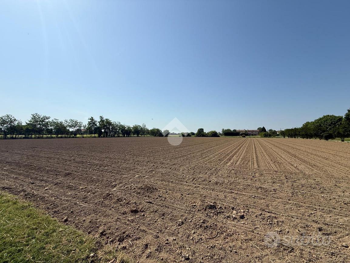 TER. AGRICOLO A MIRANO - Vista 5