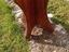 Immagine 4