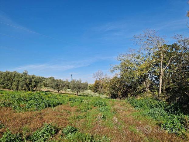 Terreno Agricolo Roseto degli Abruzzi