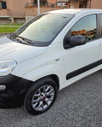 Fiat Panda 1.3 MJT 80 CV S&S 4x4 AUTOCARRO