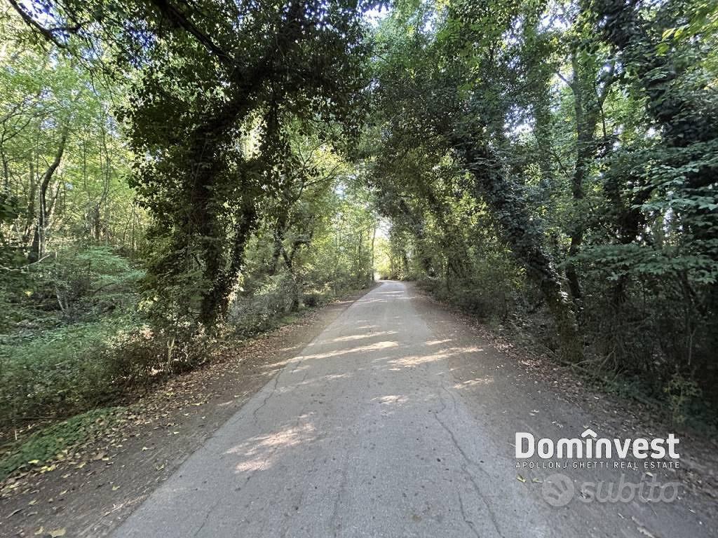 Rustico / Casale di 140 m² con 5 locali a Capalbio - Vista 2