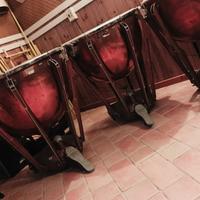 Timpani Sinfonici Ludwig