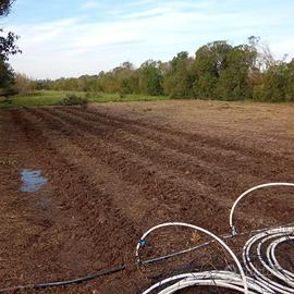 terreno agricolo san sperate 