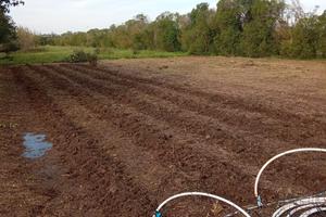 terreno agricolo san sperate 