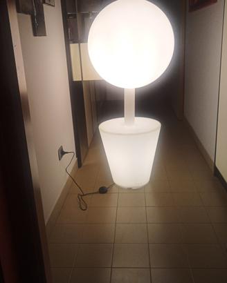 piantana gigante con luce 