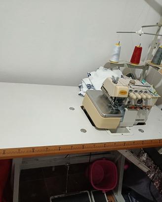  machina taglia cuccia 