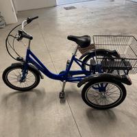 Triciclo Elettrico a pedalata assistita
