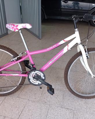 bici MTB Regina Dakar
