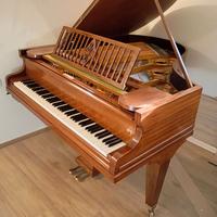 Pianoforte C. Bechstein a coda