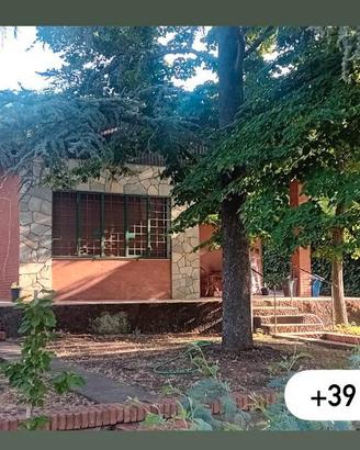 Villetta trivani, centro cuore Morgagni
