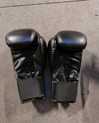Guantoni boxe Adidas