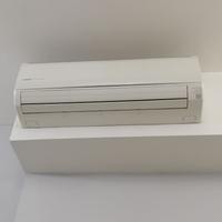 CONDIZIONATORI SINGOLI E DA SOFFITTO