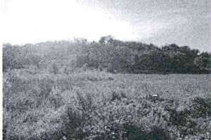 RG 540/2023 - Tribunale di Urbino