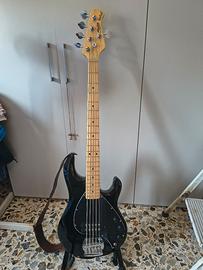 basso 5 corde Sterling by musicman