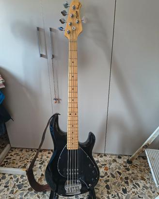 basso 5 corde Sterling by musicman