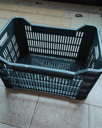 Cesta in plastica