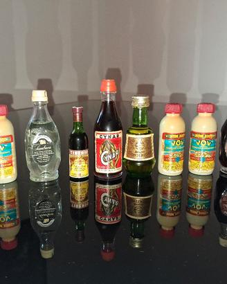 Lotto 10 liquori/vini mignon