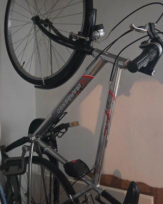 bicicletta da uomo