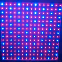 lampada led piante basso consumo