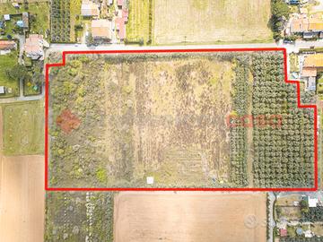 Terreno Agricolo Rosignano Marittimo