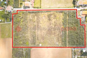 Terreno Agricolo Rosignano Marittimo