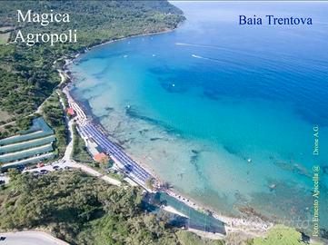 Disponibilità 6/19 o 24/31 agosto ad Agropoli