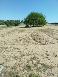 Terreno zona Viale Kennedy