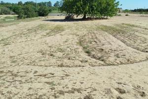 Terreno zona Viale Kennedy