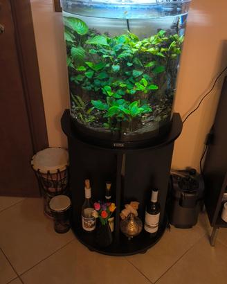 🌿 Acquario Professionale Tetra 60L - Aquascaping 