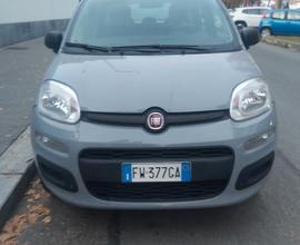 FIAT PANDA Benz/Metano Fine 2019. Pari nuovo