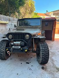 Cabina vasca jeep cj5
