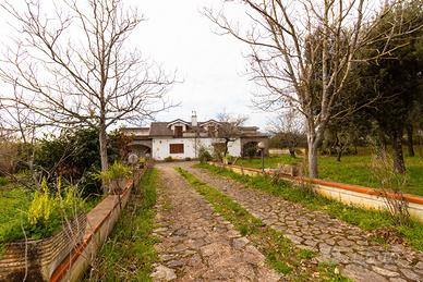 N° 2 Ville bifamiliari acquistabili separatamente