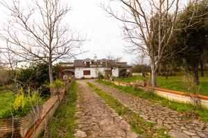 N° 2 Ville bifamiliari acquistabili separatamente