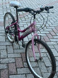 Bicicletta VICINI ‘’ Sensation’’