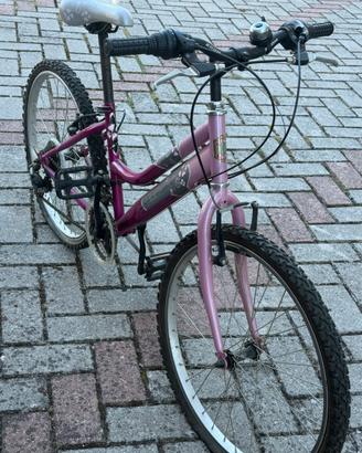 Bicicletta VICINI ‘’ Sensation’’